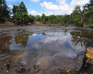 Durch Erdöl verschmutze Wasserlache im ecuadorianischen Regenwald